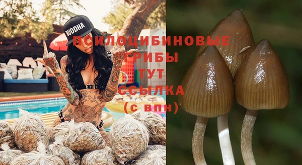 кокс Армянск