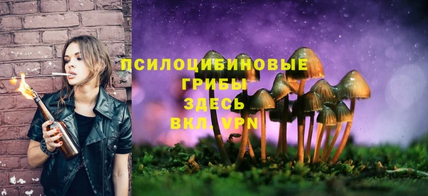 2c-b Алексин